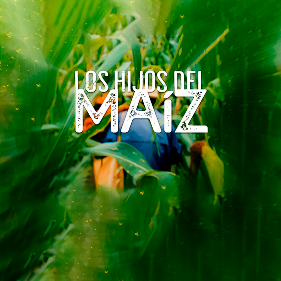LOS HIJOS DEL MAÍZ