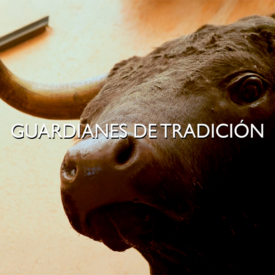 GUARDIANES DE TRADICIÓN