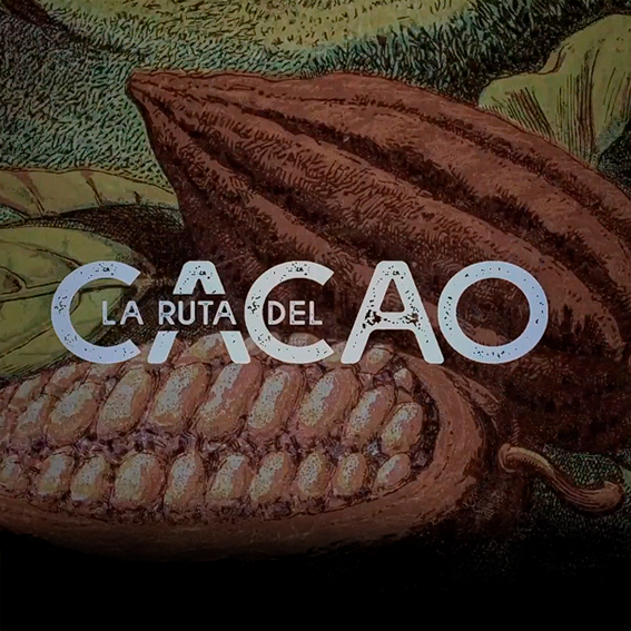 LA RUTA DEL CACAO