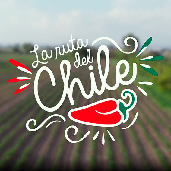 LA RUTA DEL CHILE